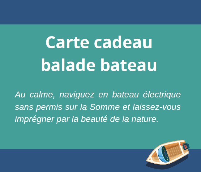 Carte cadeau - Balade bateau